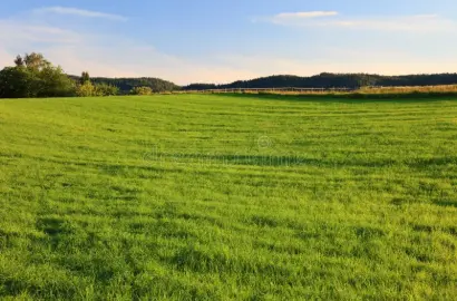50-Acre Mountain View Property